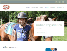 Tablet Screenshot of dauphinbiblecamp.com